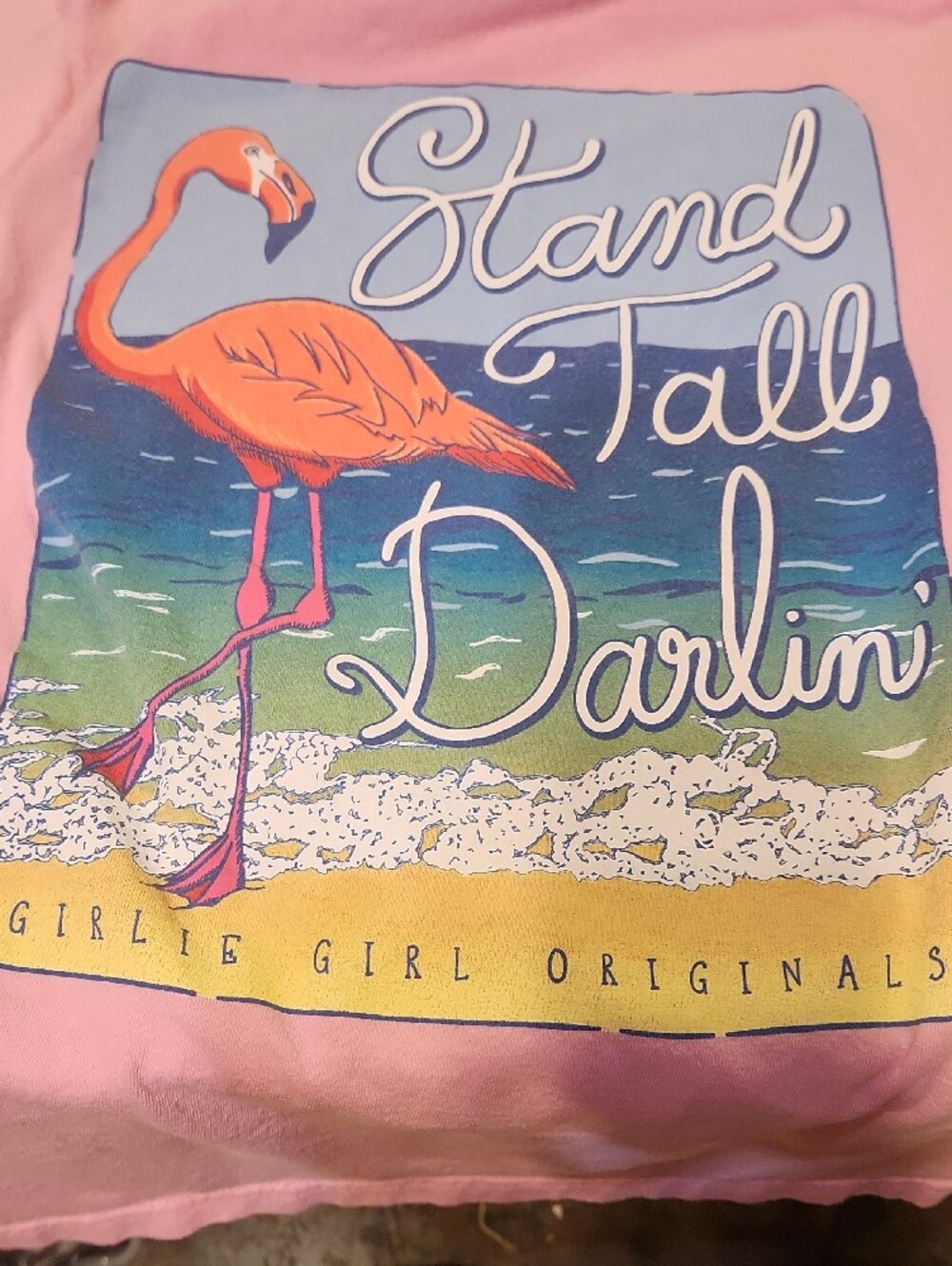 Girls Originals Pink Flamingo Graphic Sweatshirt - Picture 3 of 3